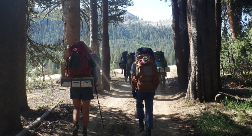 a group of backpacking students follow a trail among large trees on an outward bound trip for bipoc